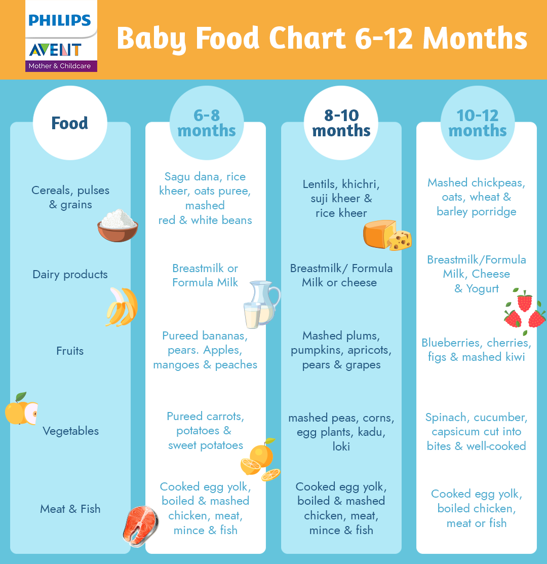 Guide on When to Introduce Meat to Your Baby's Diet
